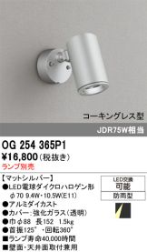 OG254365P1