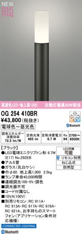 OG254410BR