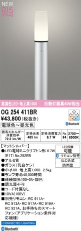 OG254411BR