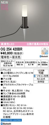 OG254420BR