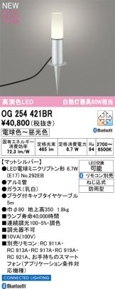 OG254421BR