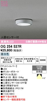OG254537R