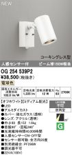 OG254539P2