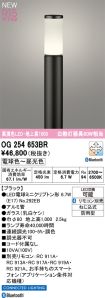 OG254653BR