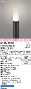 OG254667BR