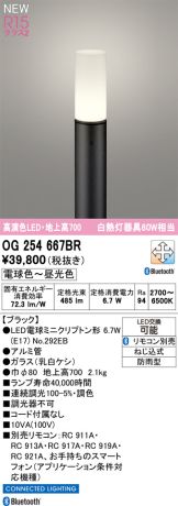 OG254667BR
