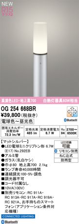 OG254668BR