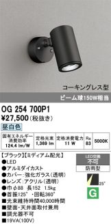 OG254700P1