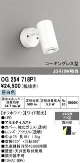 OG254718P1