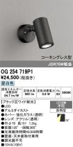 OG254719P1