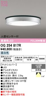 OG254817R