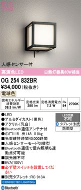 OG254832BR