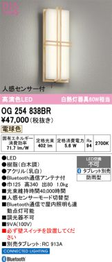 OG254838BR