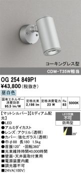 OG254849P1