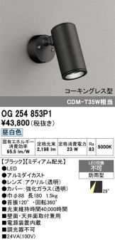 OG254853P1