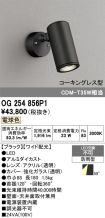 OG254856P1
