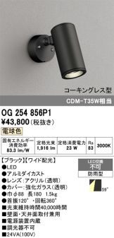 OG254856P1