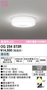 OG254873R