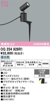 OG254929R1