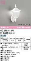 OG254951NR1