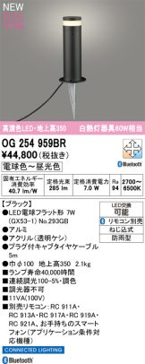 OG254959BR