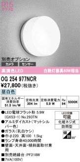 OG254977NCR