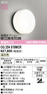 OG254978WCR