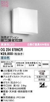 OG254979NCR