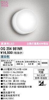 OG254981NR