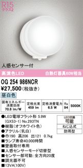 OG254986NCR