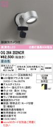 OG264202NCR