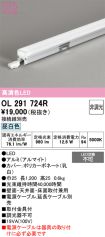 OL291724R