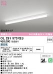 OL291573R2B