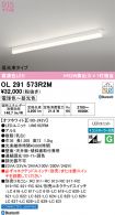 OL291573R2M
