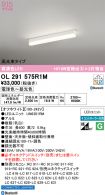 OL291575R1M