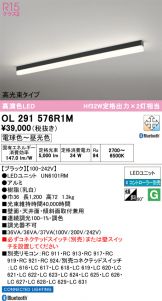 OL291576R1M