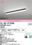OL291577R2B