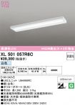 XL501057R6C