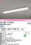 XL501111R1C