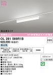 OL291569R1B