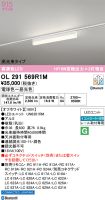 OL291569R1M
