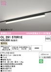 OL291570R1E
