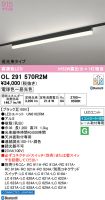 OL291570R2M