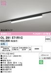 OL291571R1C