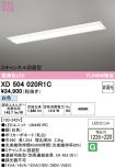 XD504020R1C