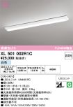 XL501002R1C