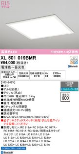 XL501019BMR