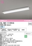 XL501111R1C