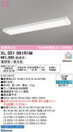 XL551091R1M