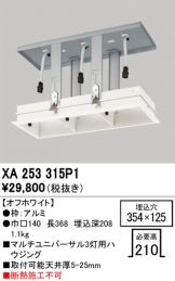 XA253315P1